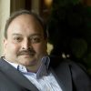 Diamantaire to fugitive: Mehul Choksi arrested in Belgium, what charges he faces in India?