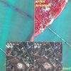 ISRO Satellite Images Reveal Massive Damage Caused By Myanmar Earthquake | See Pics