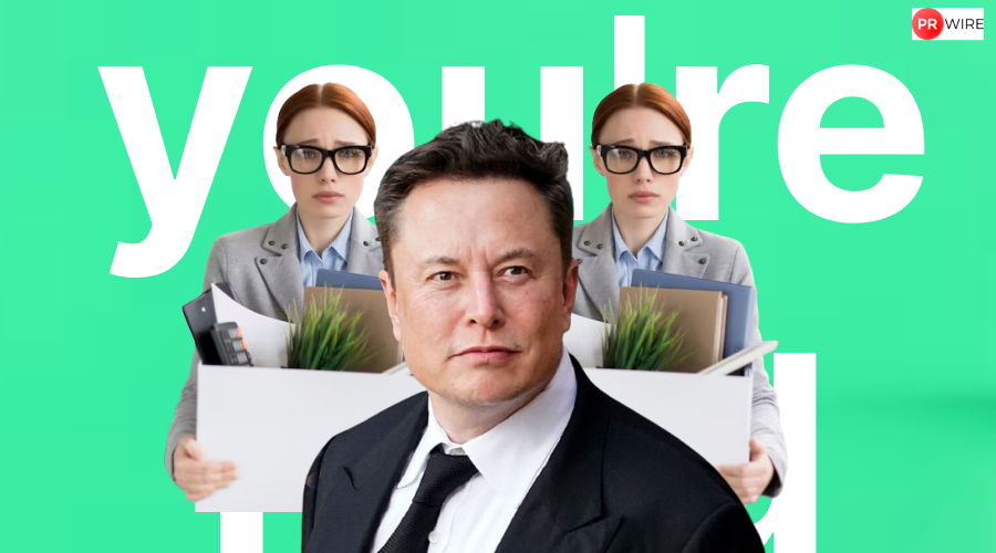 ‘We can’t do that with Elon Musk as CEO’: Fired Tesla employee blames billionaire for tanking sales