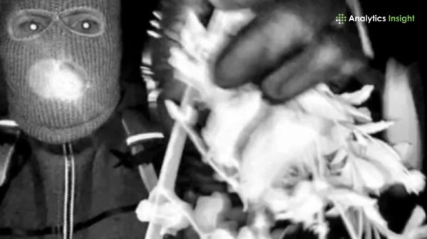 Nancy Guthrie suspect's revolver holster could be key to identity, ex-SWAT officer say